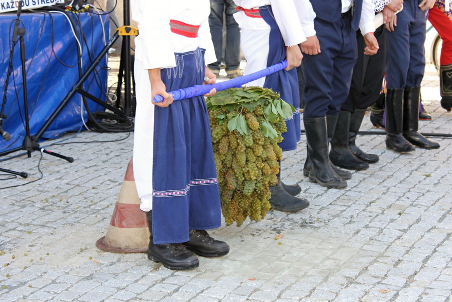 vinobrani 079.JPG